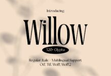 Willow Poster 1