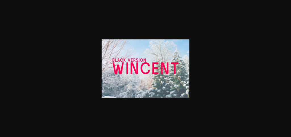 Wincent Black Font Poster 3