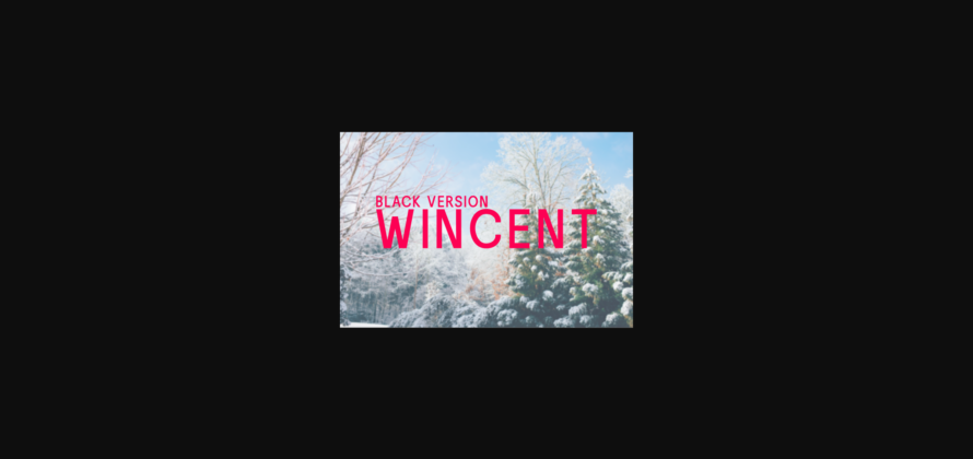 Wincent Black Font Poster 3