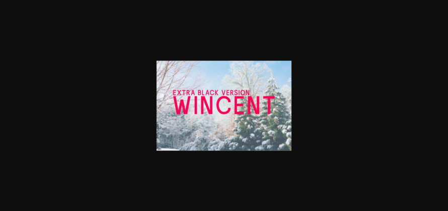 Wincent Extra Black Font Poster 3