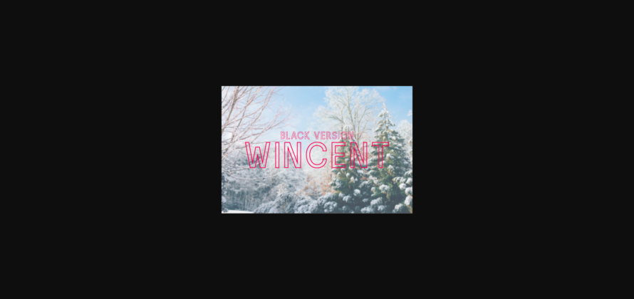 Wincent Outline Black Font Poster 3