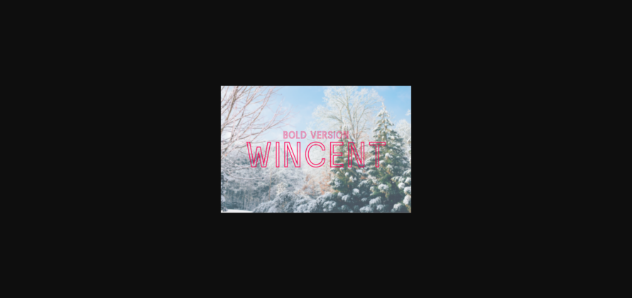 Wincent Outline Bold Font Poster 3