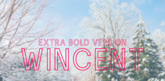 Wincent Outline Extra Bold Font
