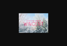 Wincent Outline Extra Light Font Poster 1