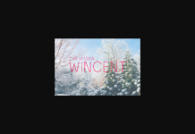 Wincent Thin Font Poster 1