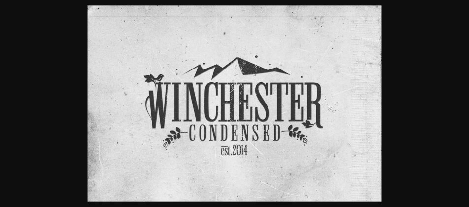 Winchester Condensed Poster 5