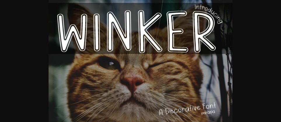 Winker Font Poster 3