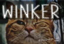 Winker Font Poster 1