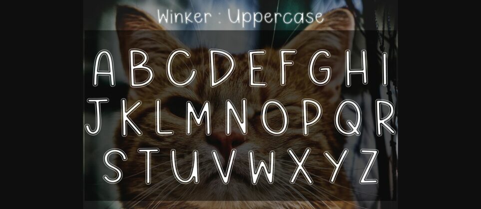 Winker Font Poster 5