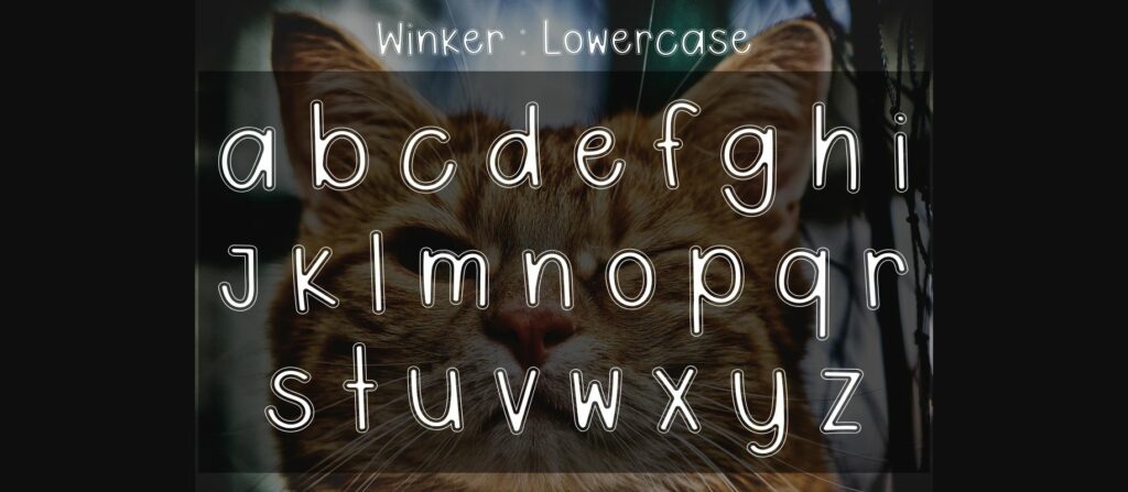 Winker Font Poster 6