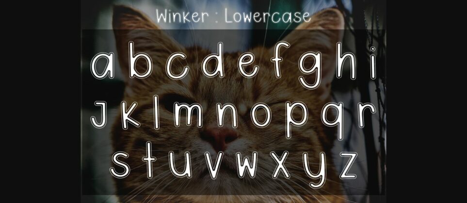 Winker Font Poster 6