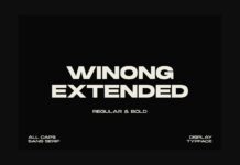 Winong Extended Font Poster 1