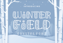 Winter Field Font Poster 1