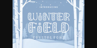 Winter Field Font Poster 1