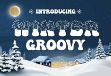 Winter Groovy Font Poster 1