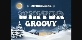 Winter Groovy Font Poster 1