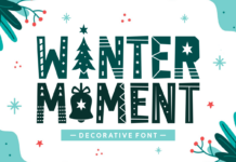 Winter Moment Font Poster 1