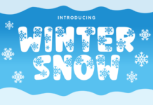 Winter Snow Font Poster 1