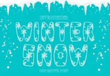 Winter Snow Font Poster 1