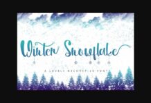 Winter Snowflake Font Poster 1