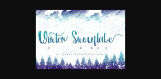 Winter Snowflake Font Poster 1