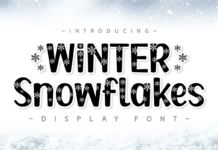 Winter Snowflakes Font Poster 1