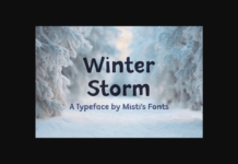 Winter Storm Font Poster 1