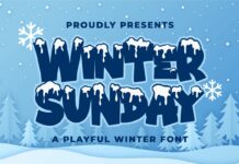 Winter Sunday Font Poster 1