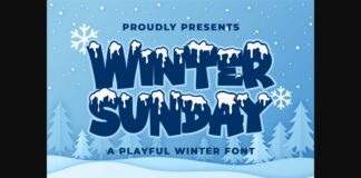 Winter Sunday Font Poster 1