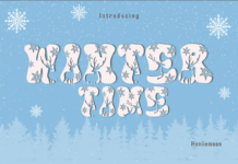 Winter Time Font Poster 1