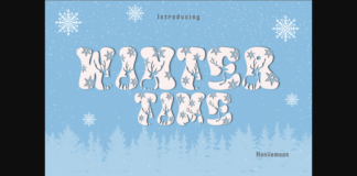 Winter Time Font Poster 1