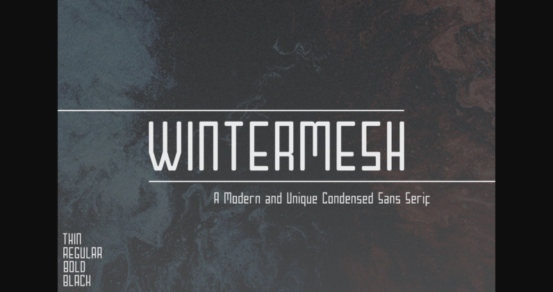 Wintermesh Font Poster 3