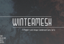 Wintermesh Font Poster 1