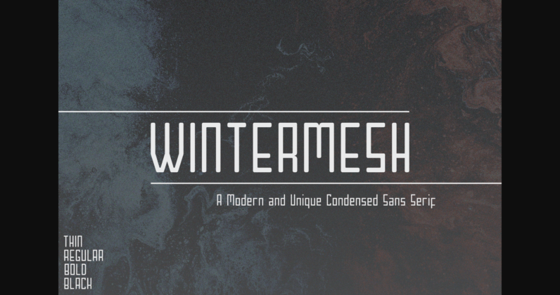 Wintermesh Font Poster 1