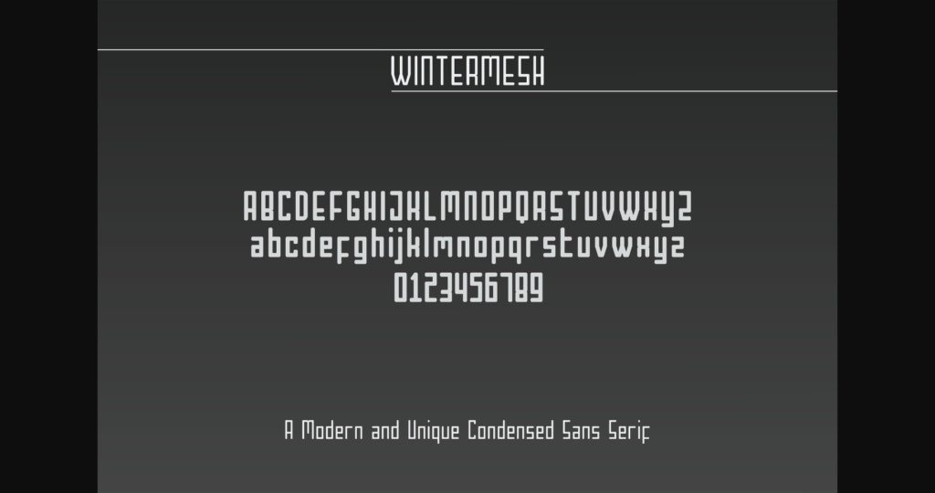 Wintermesh Font Poster 5