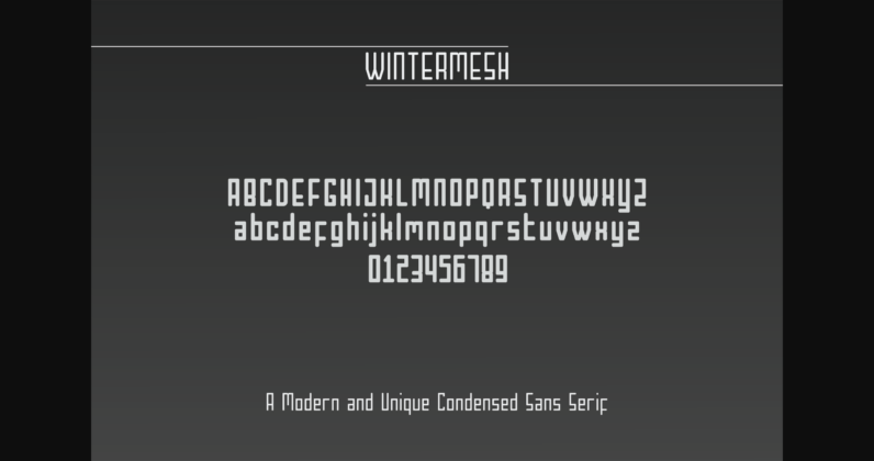 Wintermesh Font Poster 5