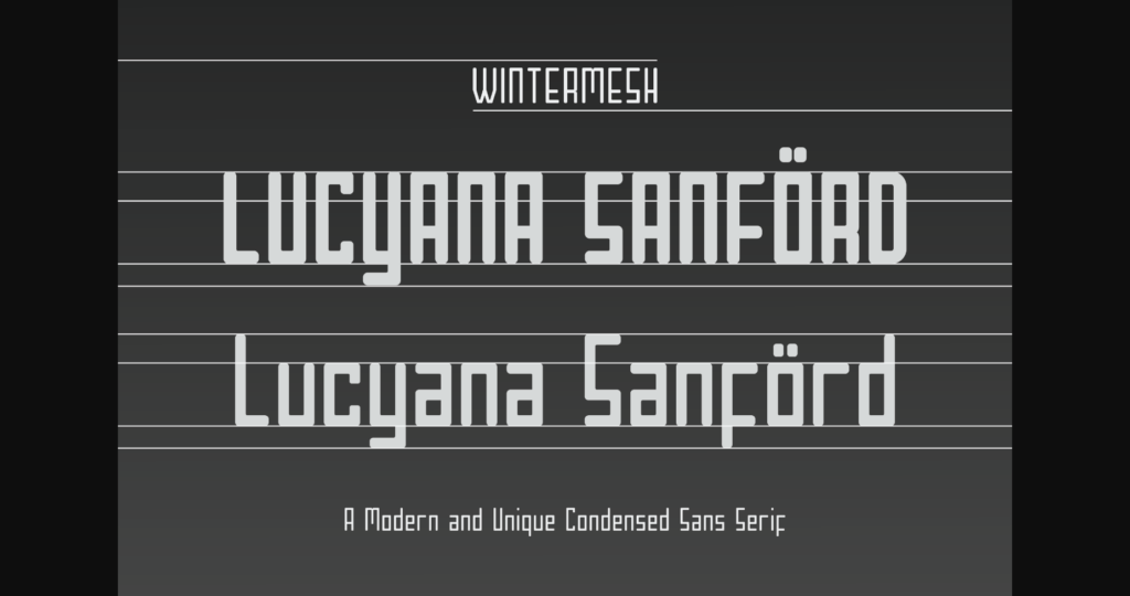 Wintermesh Font Poster 7