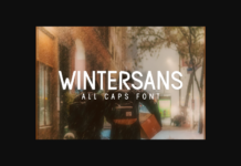 Wintersans Font Poster 1