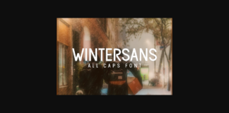 Wintersans Font Poster 1