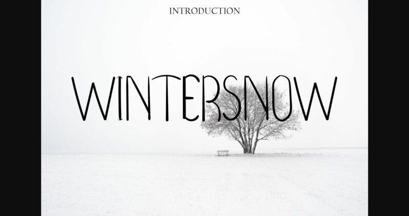 Wintersnow Font Poster 3
