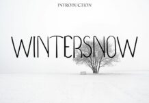 Wintersnow Font Poster 1