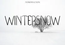 Wintersnow Font Wintersnow Font Poster 1