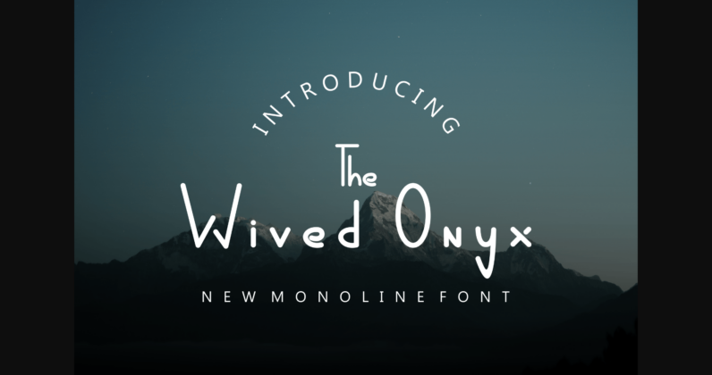 Wived Onyx Font Poster 3