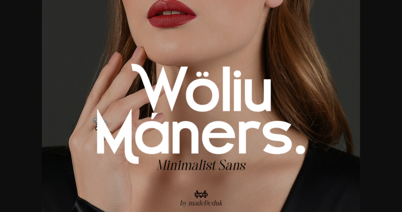Woliu Maners Font Poster 3