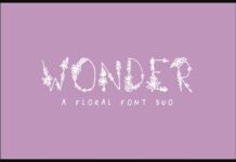 Wonder Font Poster 1