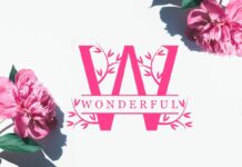 Wonderful Monogram Font Poster 1