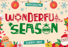 Wonderful Season Font Poster 1