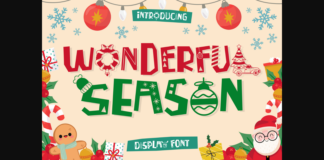 Wonderful Season Font Poster 1