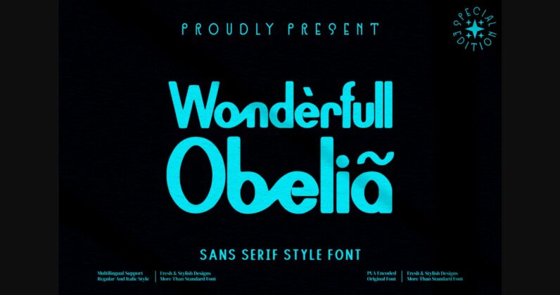 Wonderfull Obelia Font Poster 3