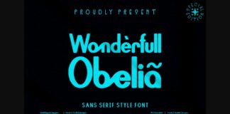 Wonderfull Obelia Font Poster 1